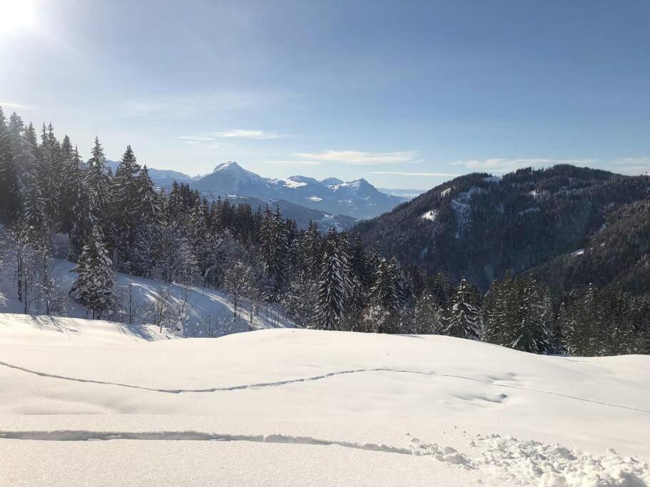 Appartement Cosy 3/4 Personnes A 5 Min Des Pistes. Saint-Jean-d'Aulps Luaran gambar