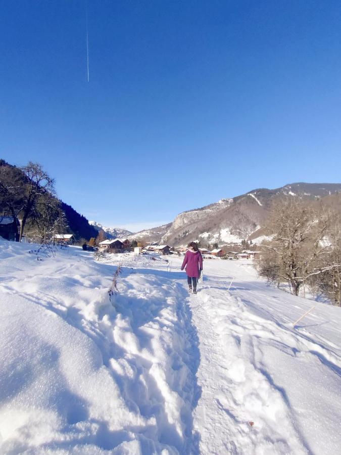 Appartement Cosy 3/4 Personnes A 5 Min Des Pistes. Saint-Jean-d'Aulps Luaran gambar